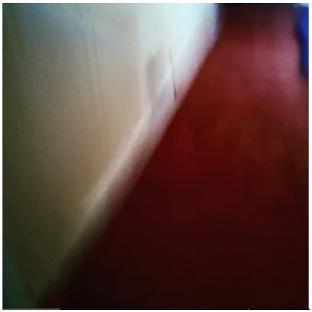 bed bug - i heard breathing