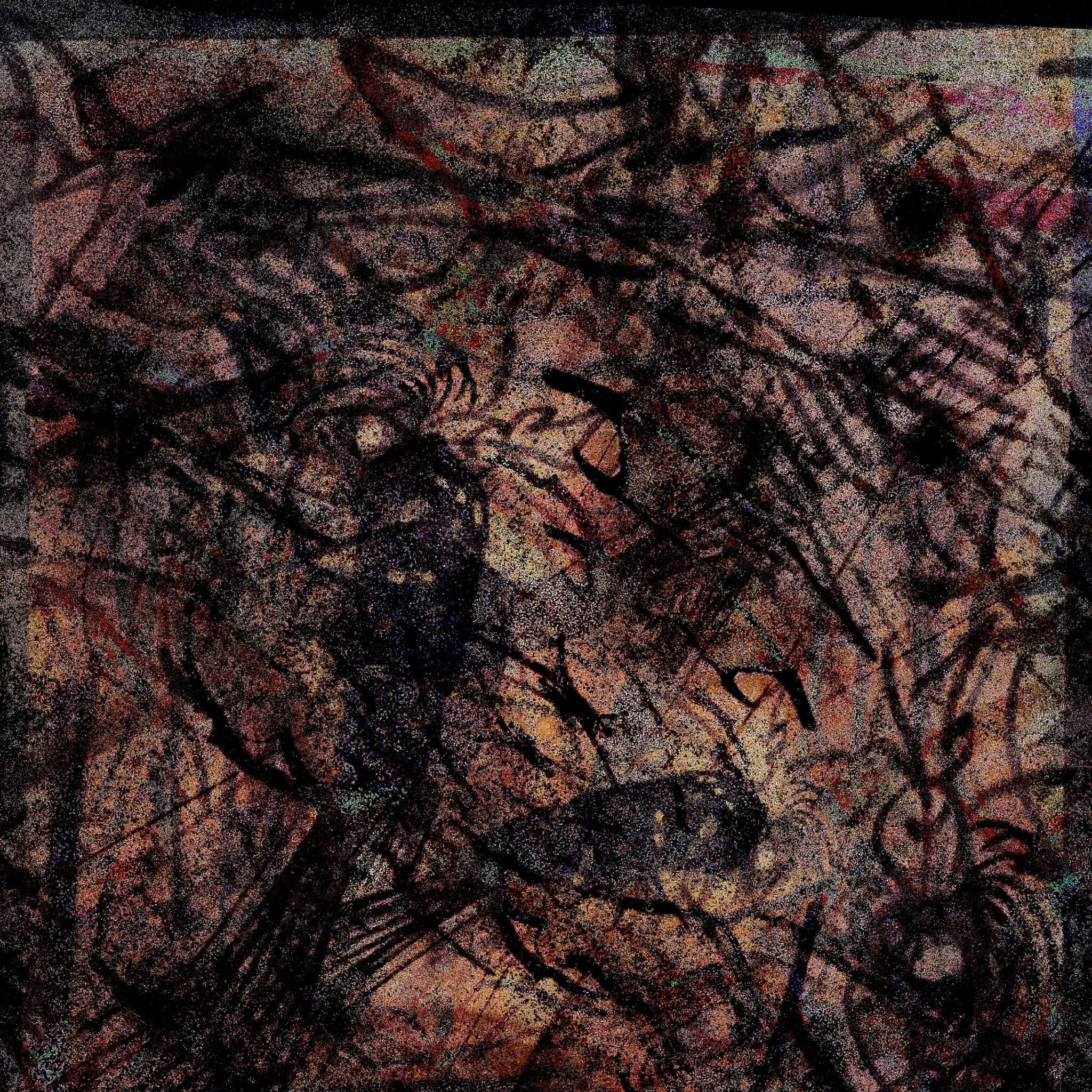 Evelyn Luvtell - functions