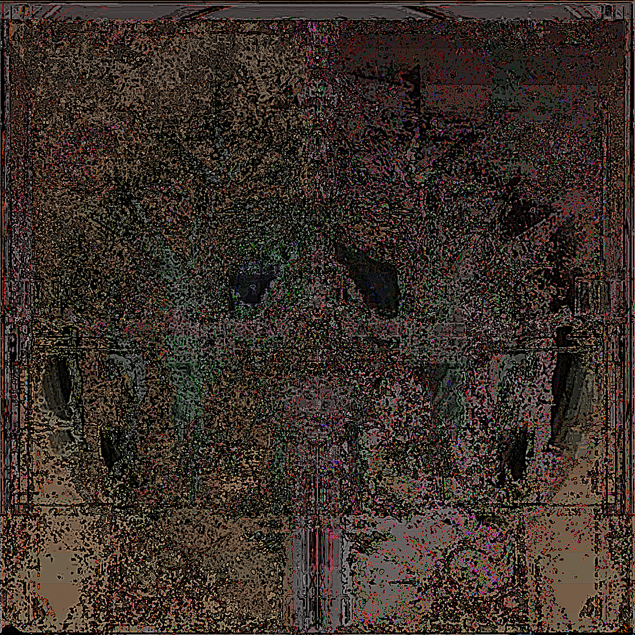 the grey - wandering incantation