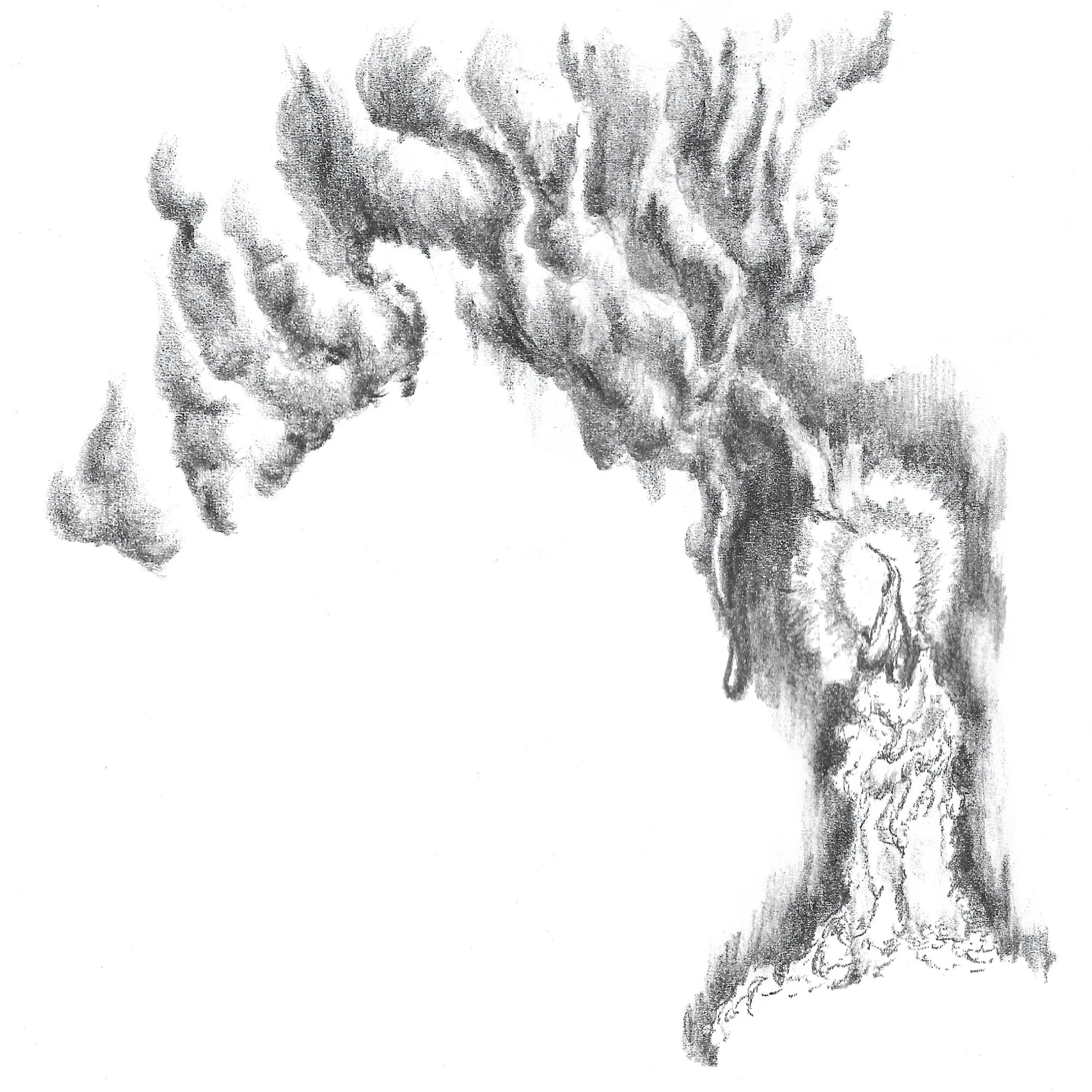 TV, OK... - Solitaire Solitude