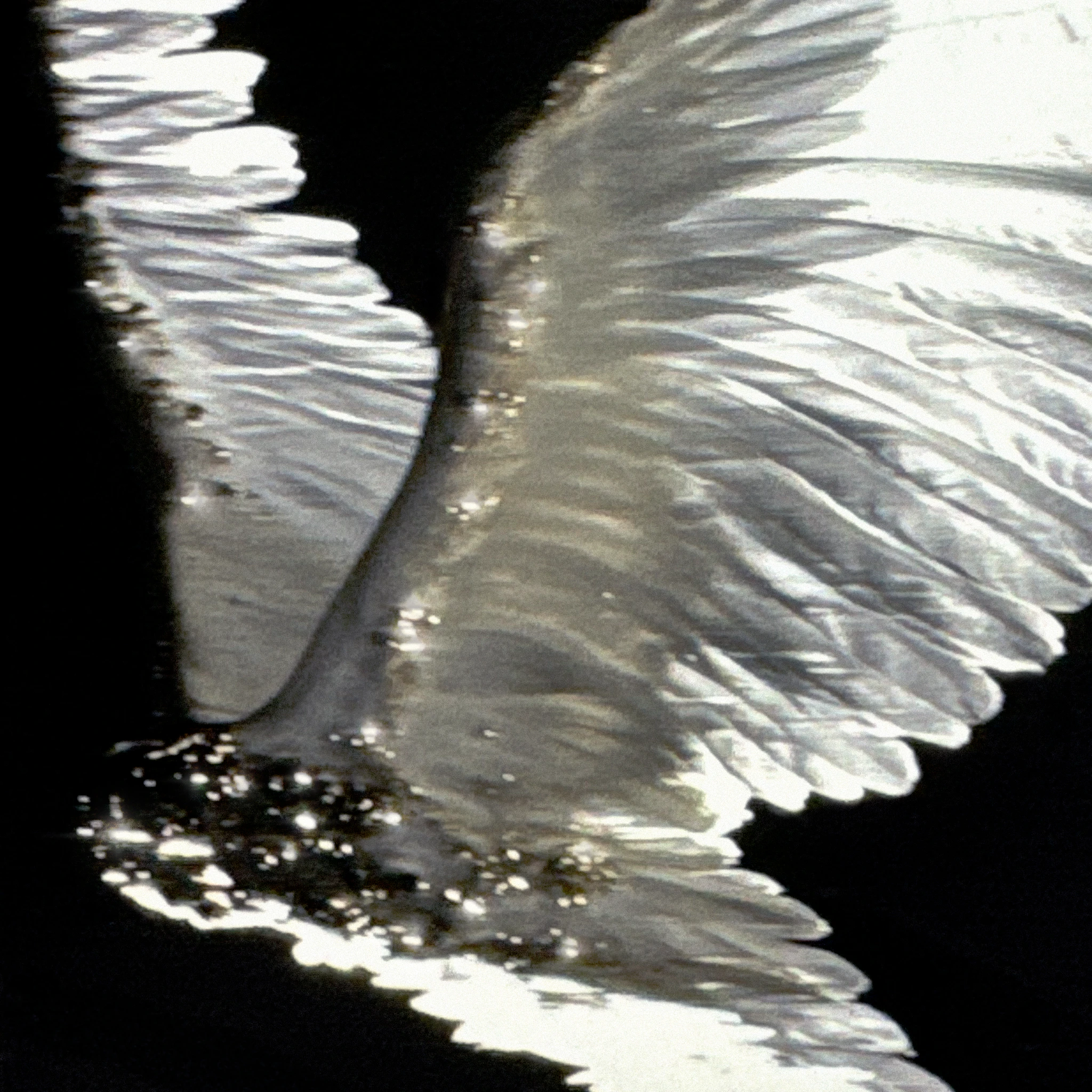 Erisan - DJ Boys Chamber / Sca Life