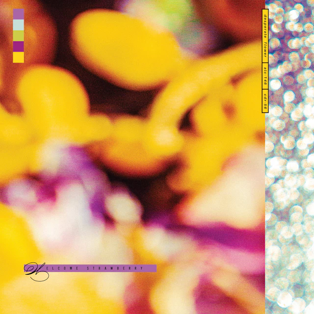 Welcome Strawberry - desperate flower