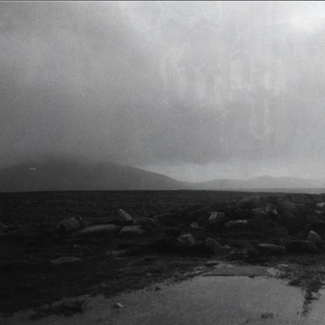 Wexford Plated Ford - Achill