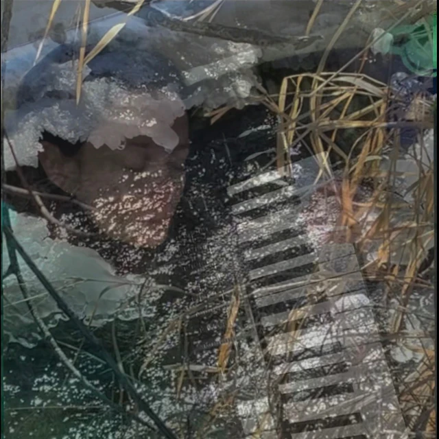 hlao - irrigation walk (sick day challenge1)