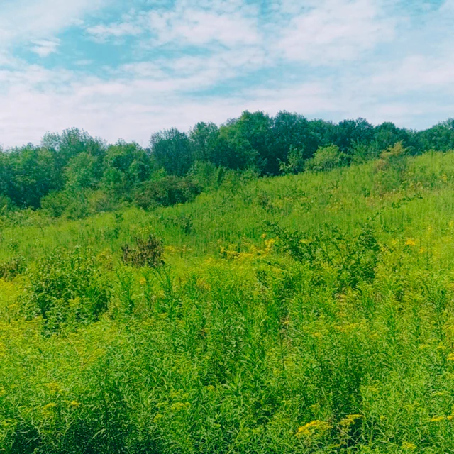 enchantments - field recording