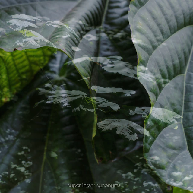 super inter - synonyms