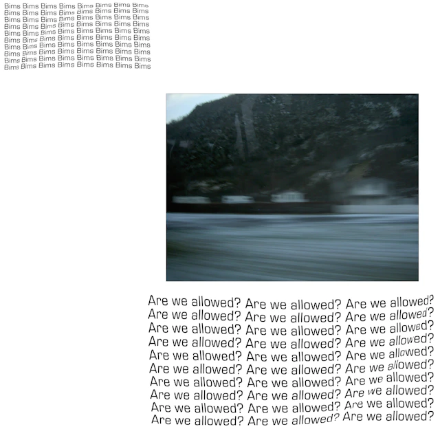 Bims - Are We Allowed?
