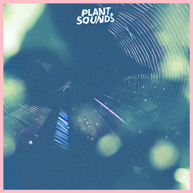plant sounds - s/t