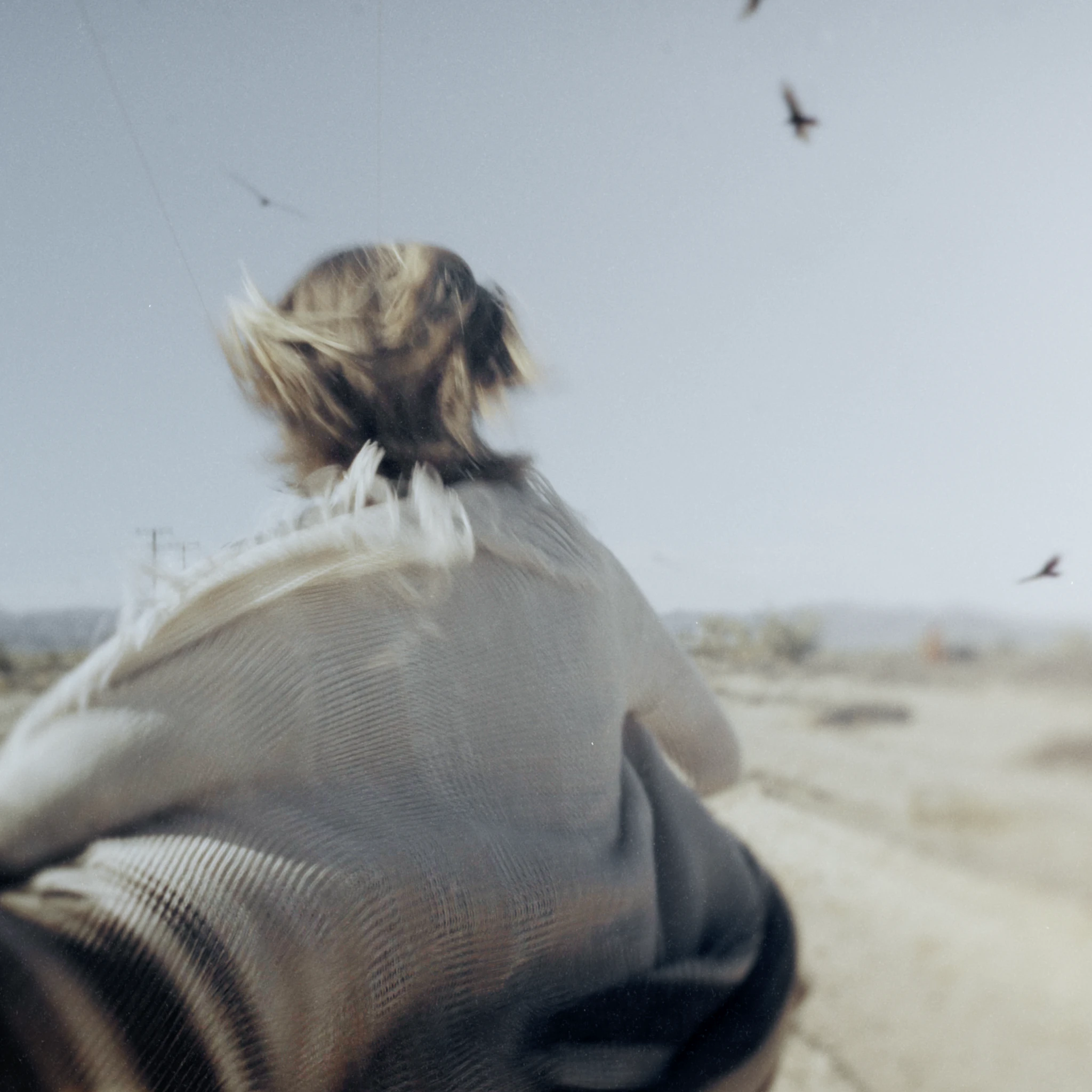 Son Lux - The Vow Singles