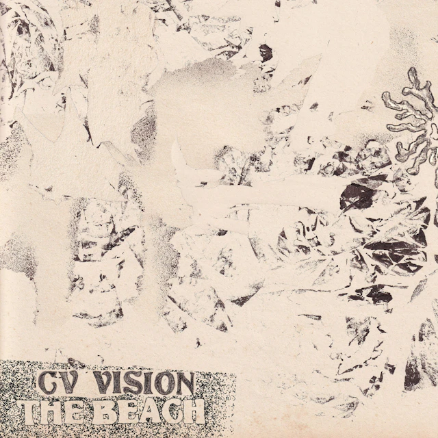 CV Vision - The Beach