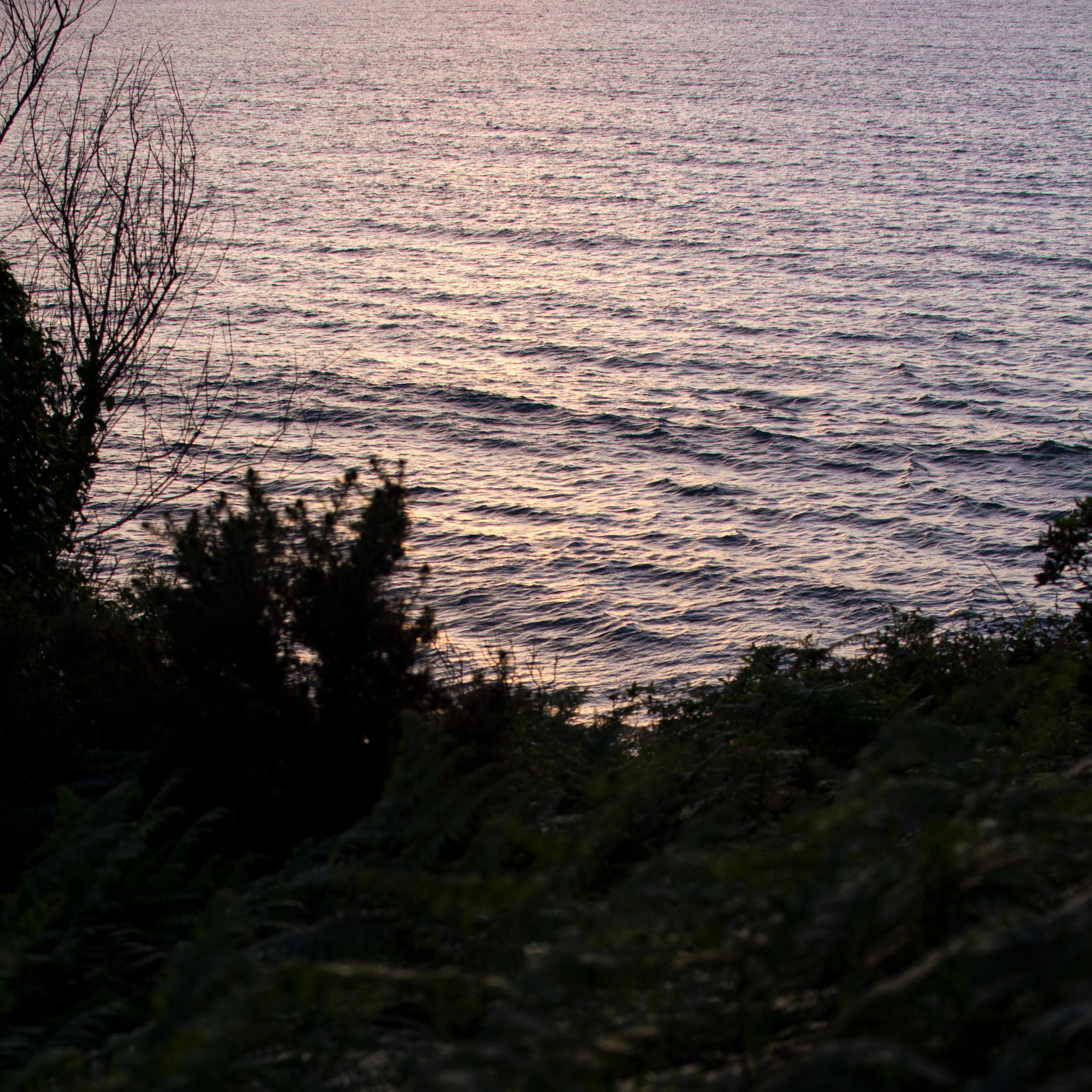 atún blanco - ldm x valo (remix)