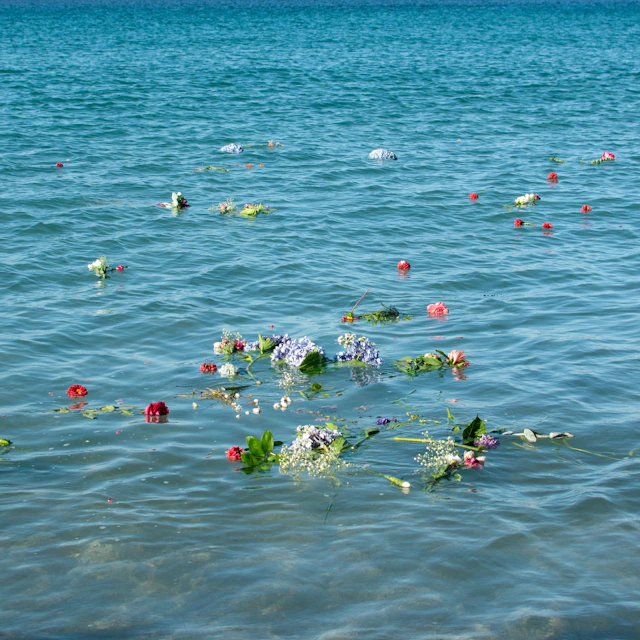 atún blanco - alén