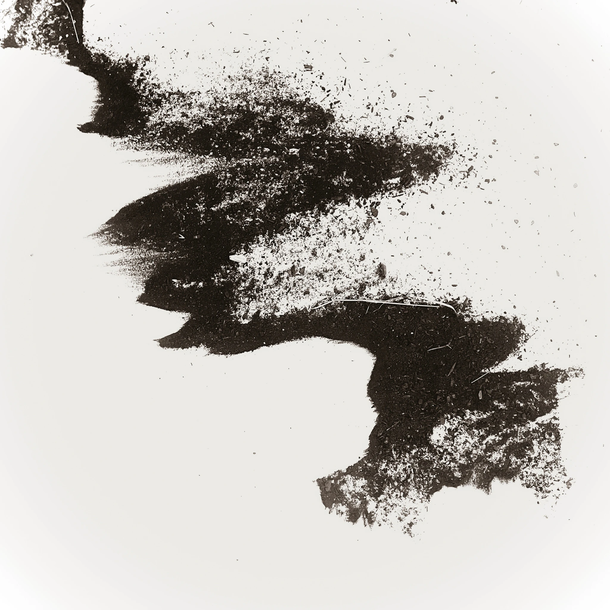 Robyn Diego - 'Trans-Organics, Unmade' (Live at Gironaplay)