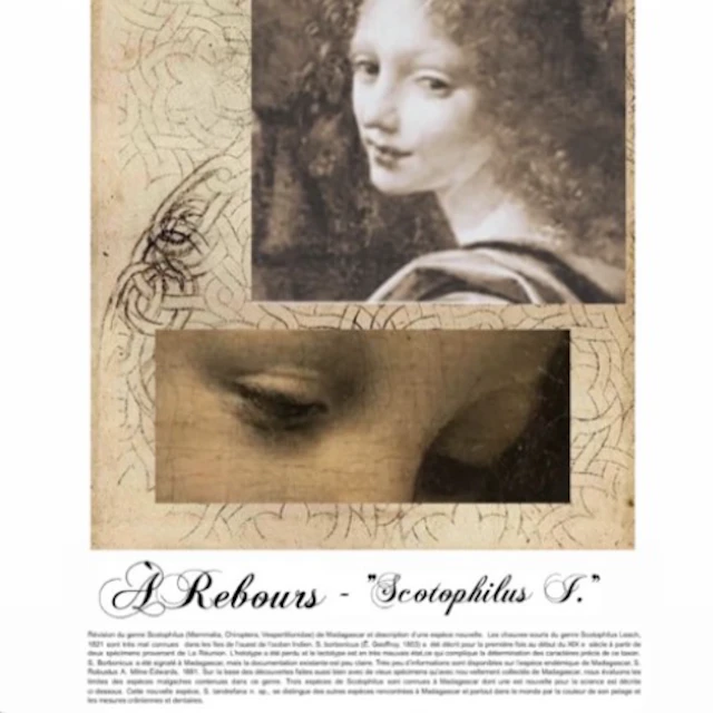 Au Rebours Conf II. - "Scotophilus I. ( Une Multitude de Classiques ) "