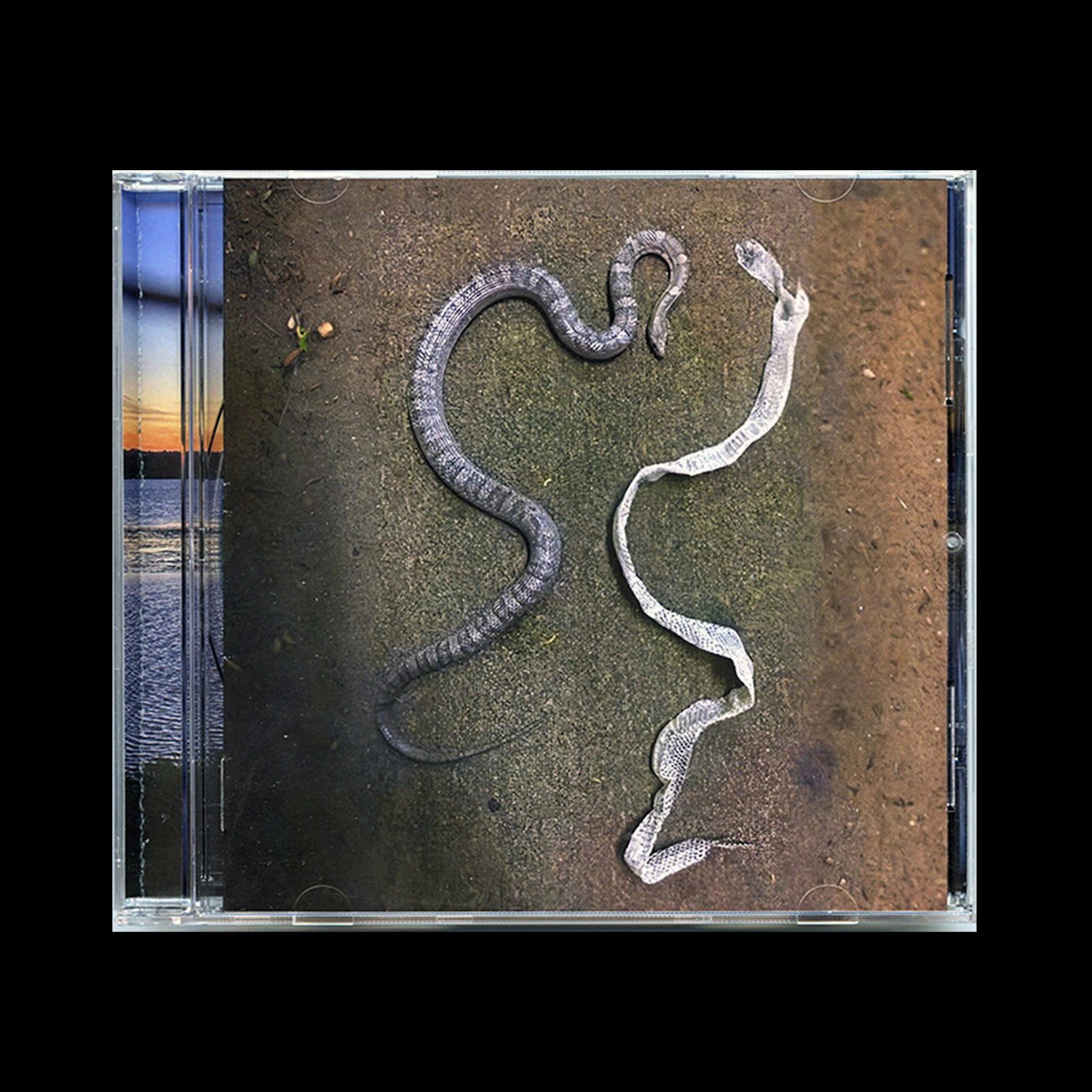 GARGANTUAN GRIEF - A HOLE IN THE (H)EART(h)