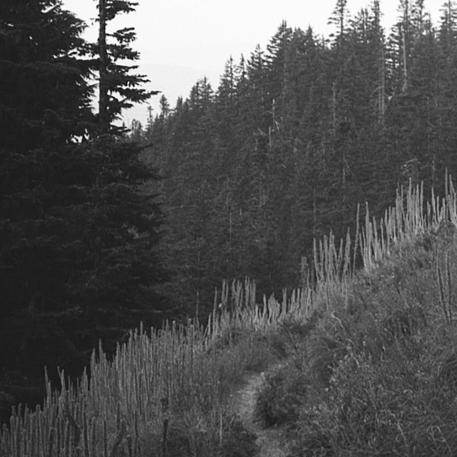 southeast - far from home