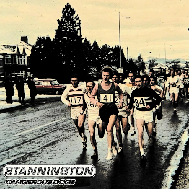 Stannington - Dangerous Dogs