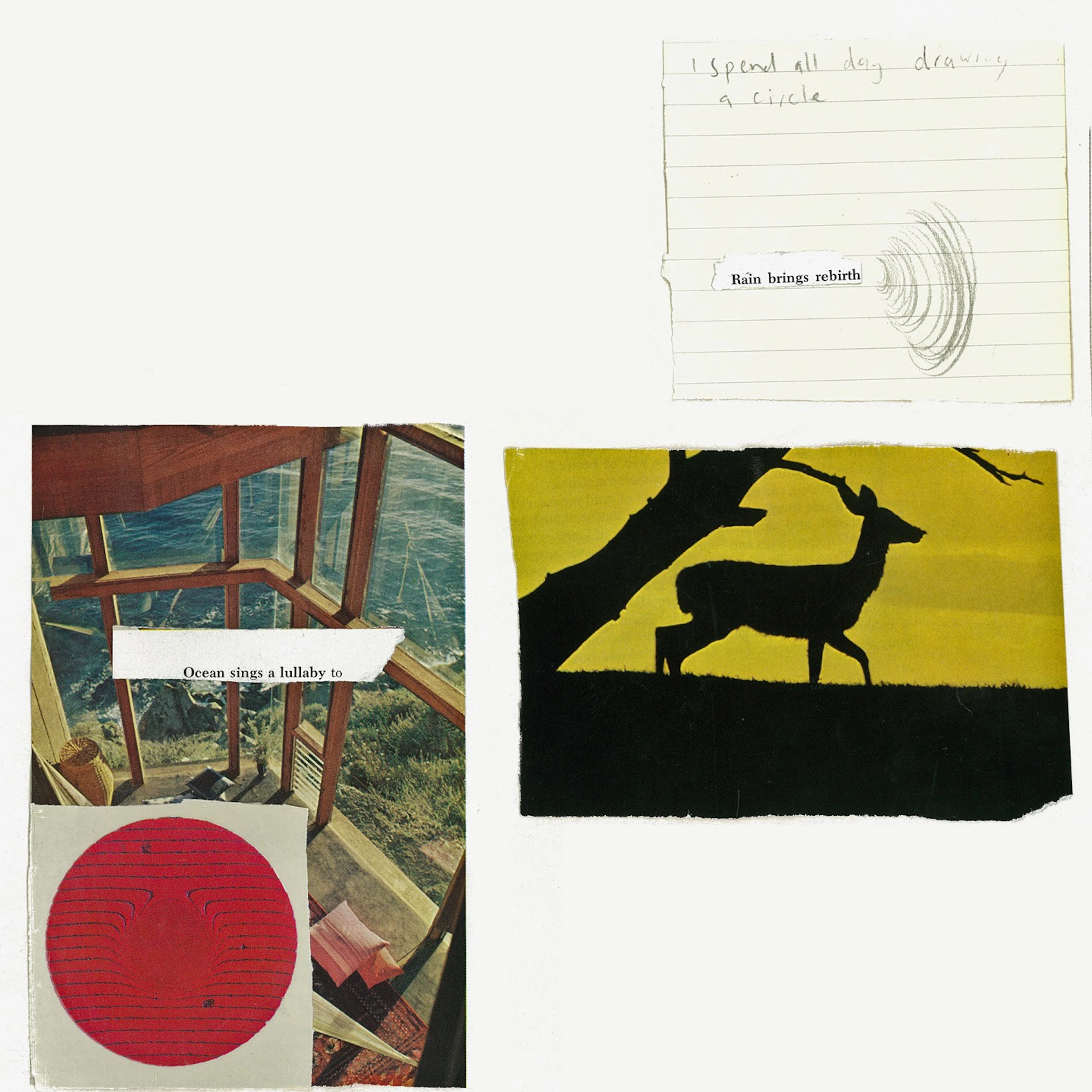 e4444e - I Spend All Day Drawing a Circle