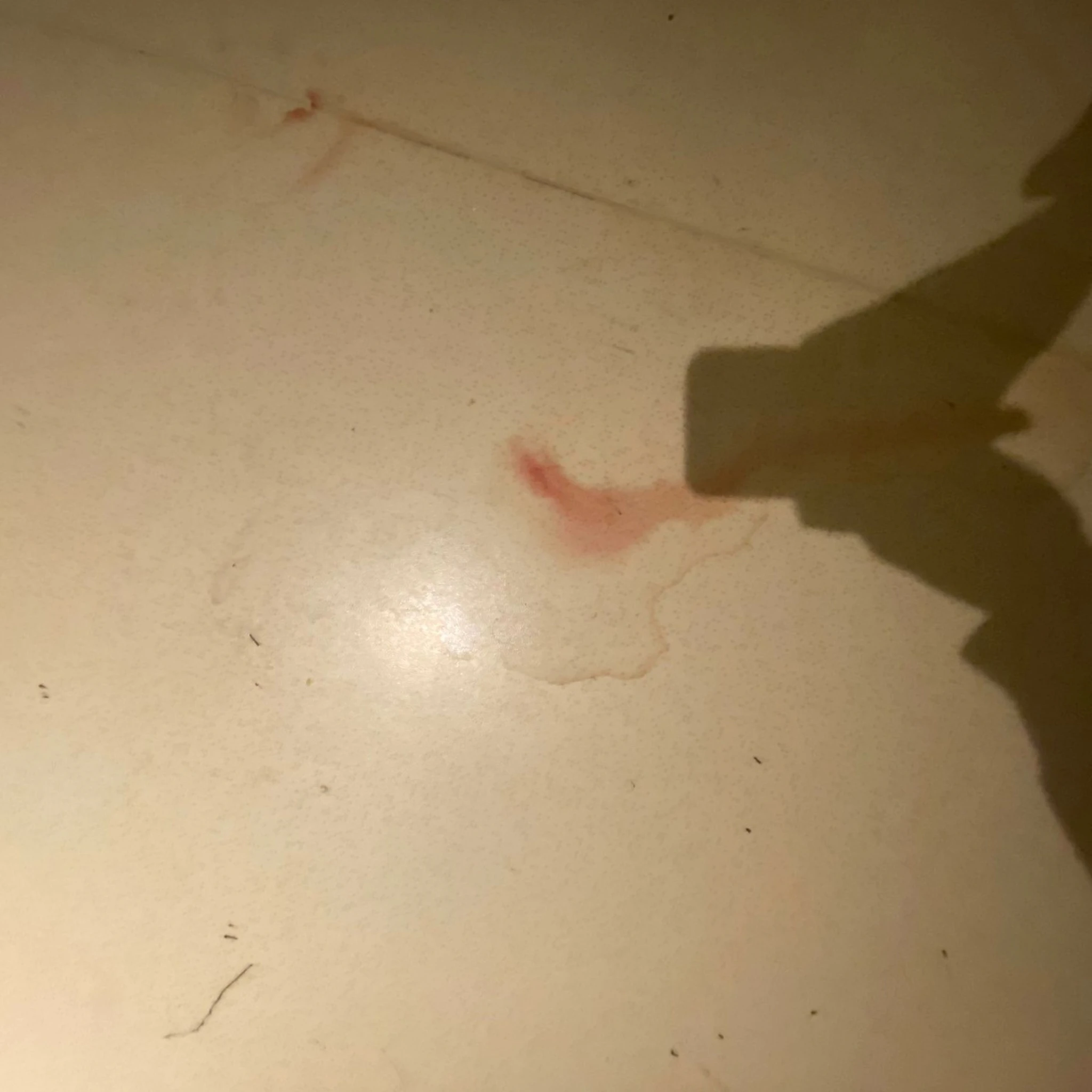 emre girginkaya - rejection chain