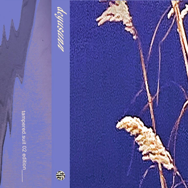 Deyusunn______self titled_____released 12_31_25