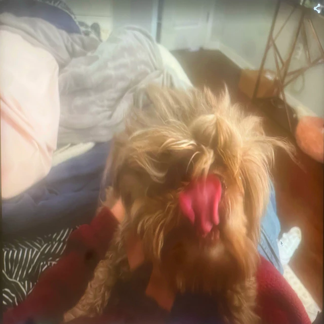 mason jones - Issy 2step