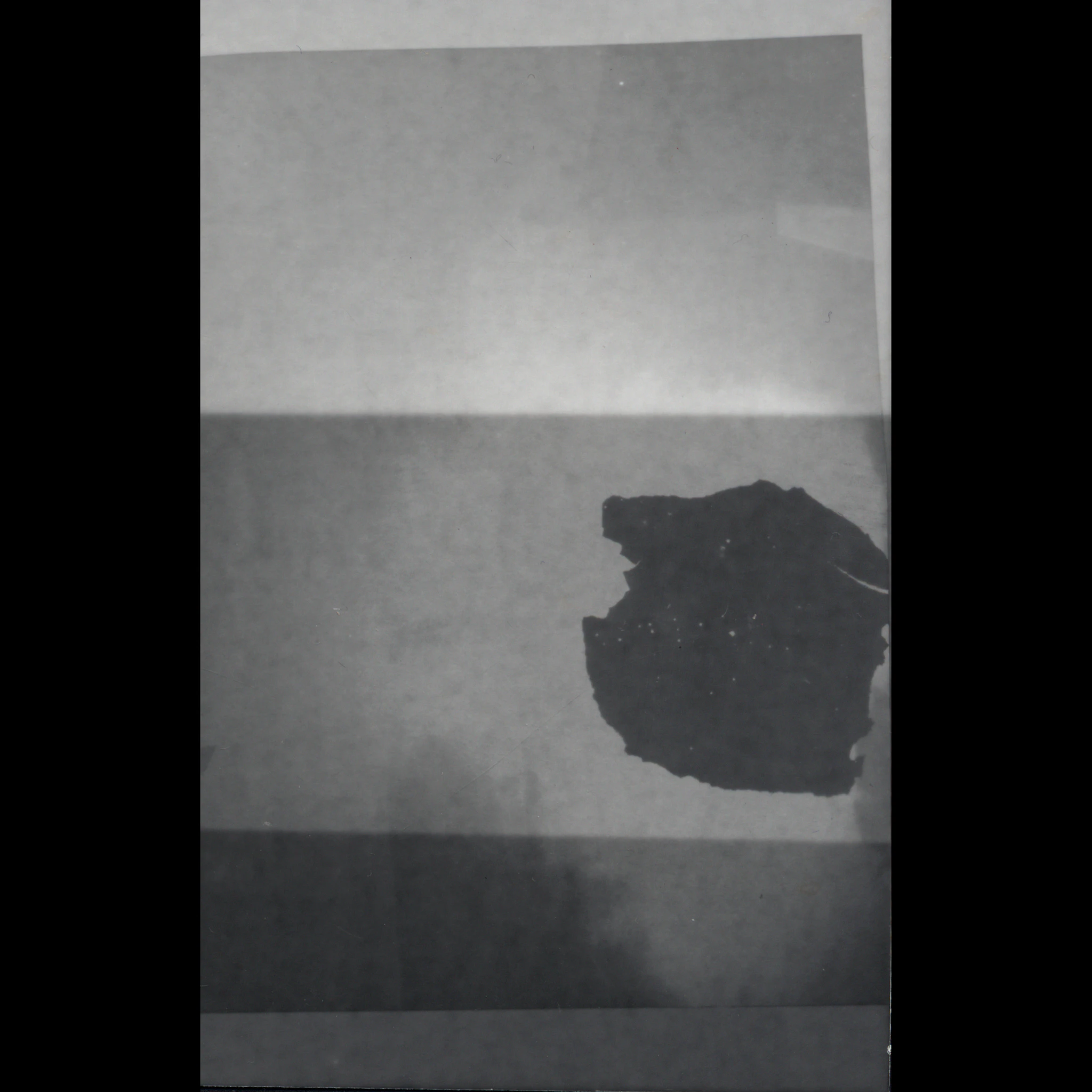 Young Mvchetes - DEMO 2023