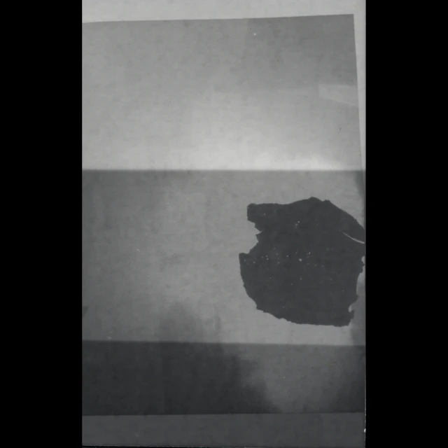 Young Mvchetes - DEMO 2023