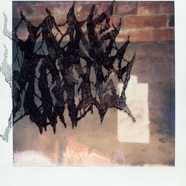 Young Mvchetes - REHEARSAL 2026