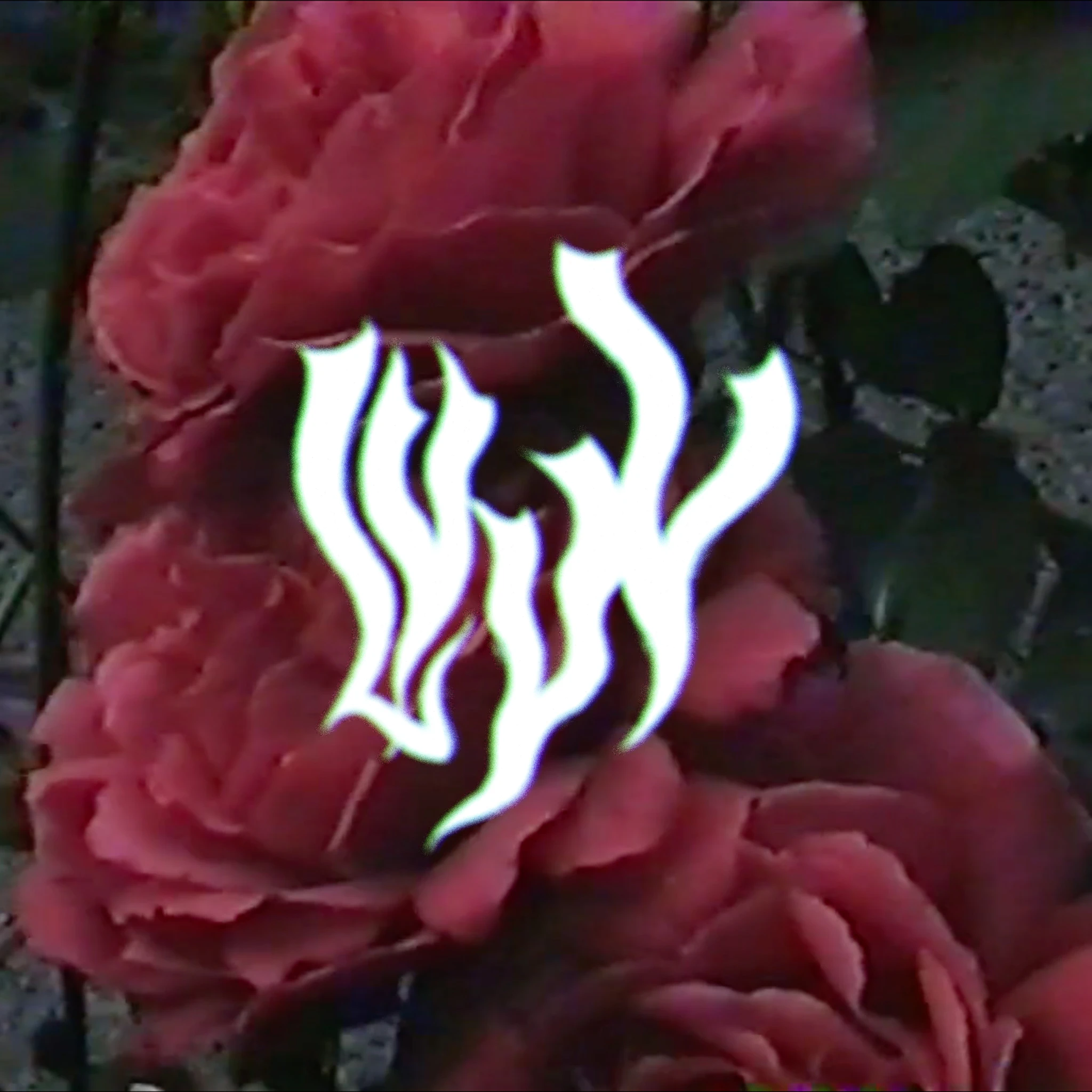 The Bernadette Maries - LvvV