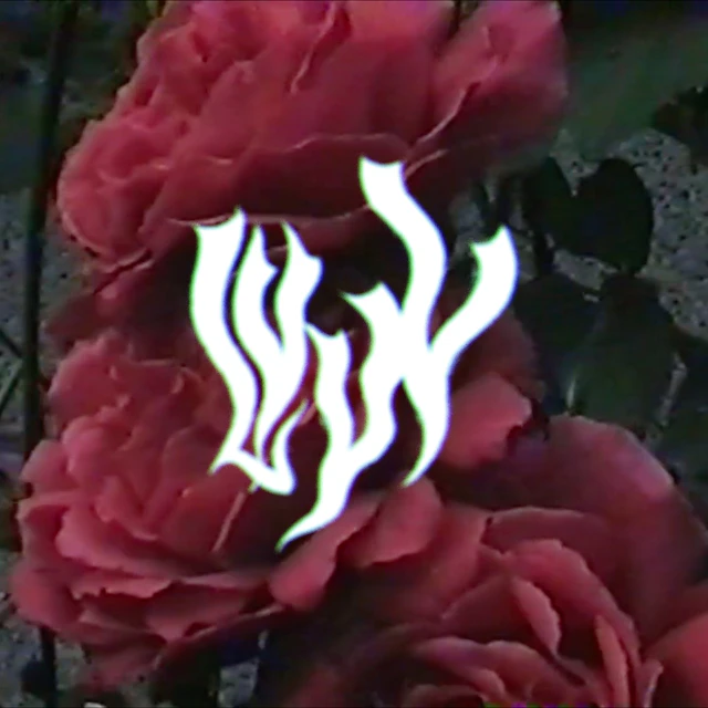 The Bernadette Maries - LvvV