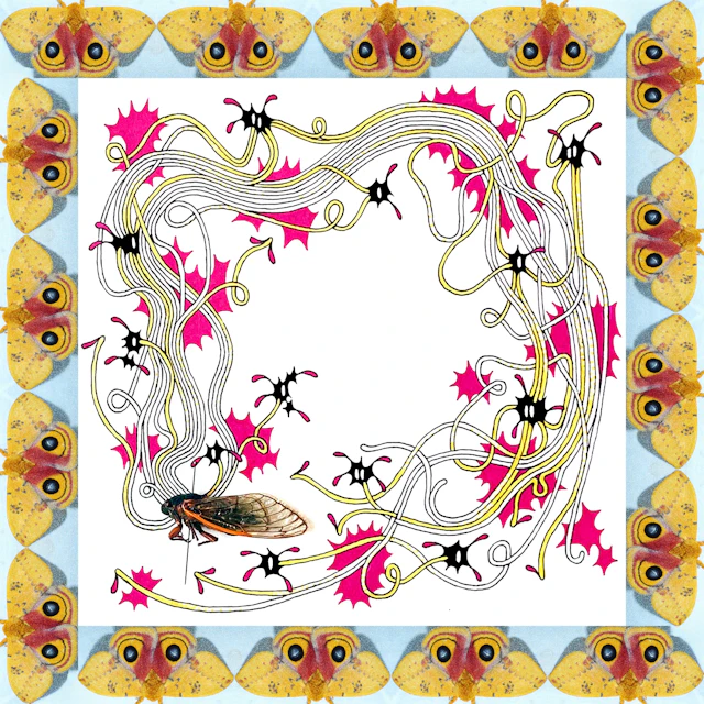 Strumbrush - Fate Again