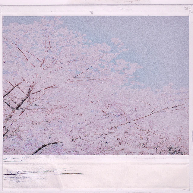 Ziwzih Ziwzih- nice morning