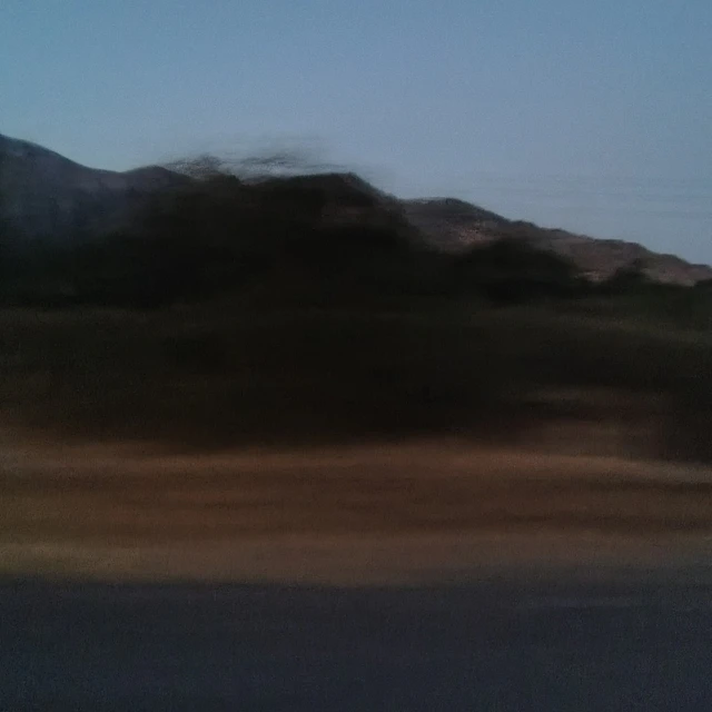 World's Favorite Mutt - Redo