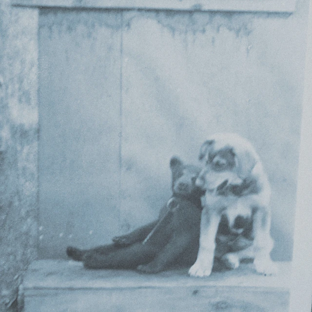 it's relentless / anguish