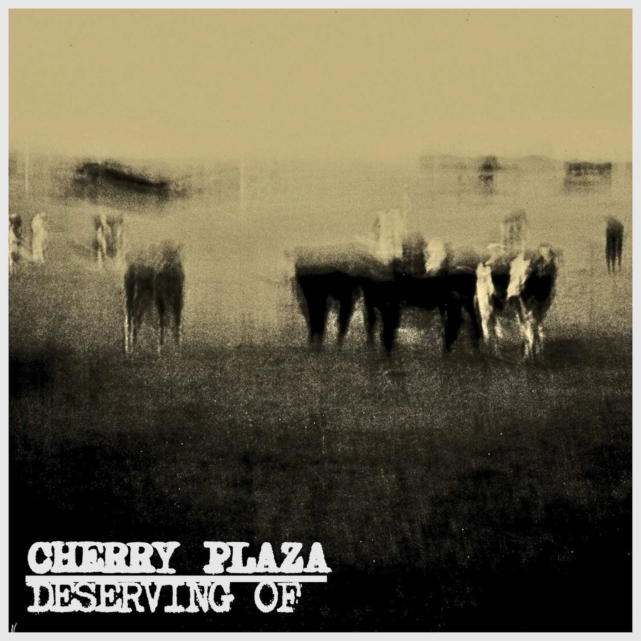 Cherry Plaza - Deserving Of