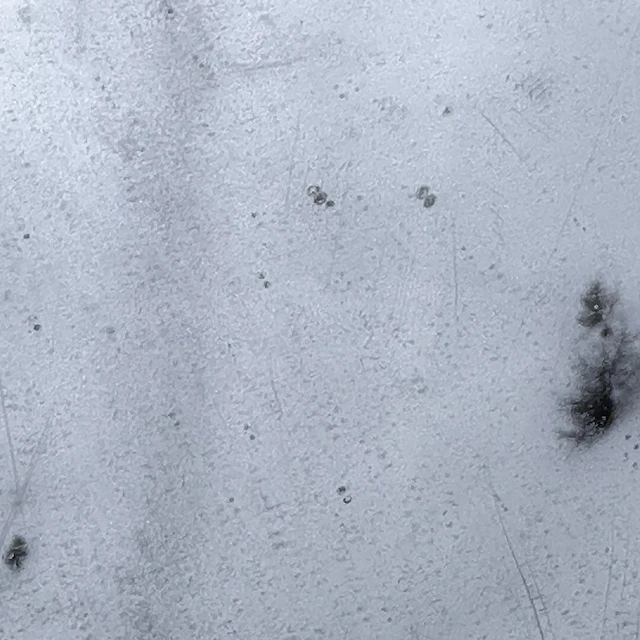 Baptiste Schaller - Point Three