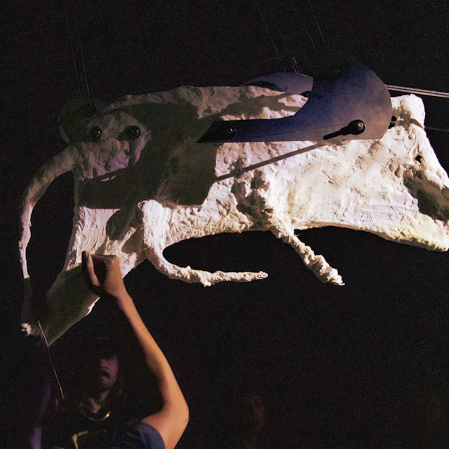 Shankar Saanthakumar - Sail