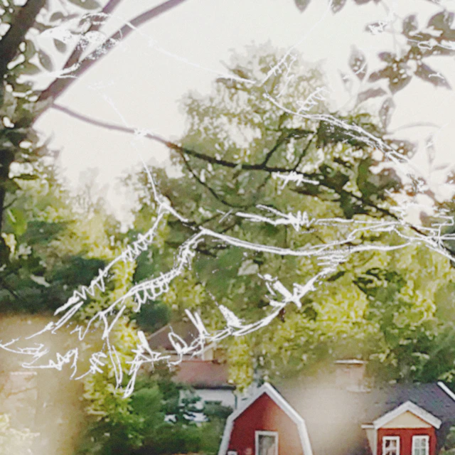 vånda - hollow / pond skaters