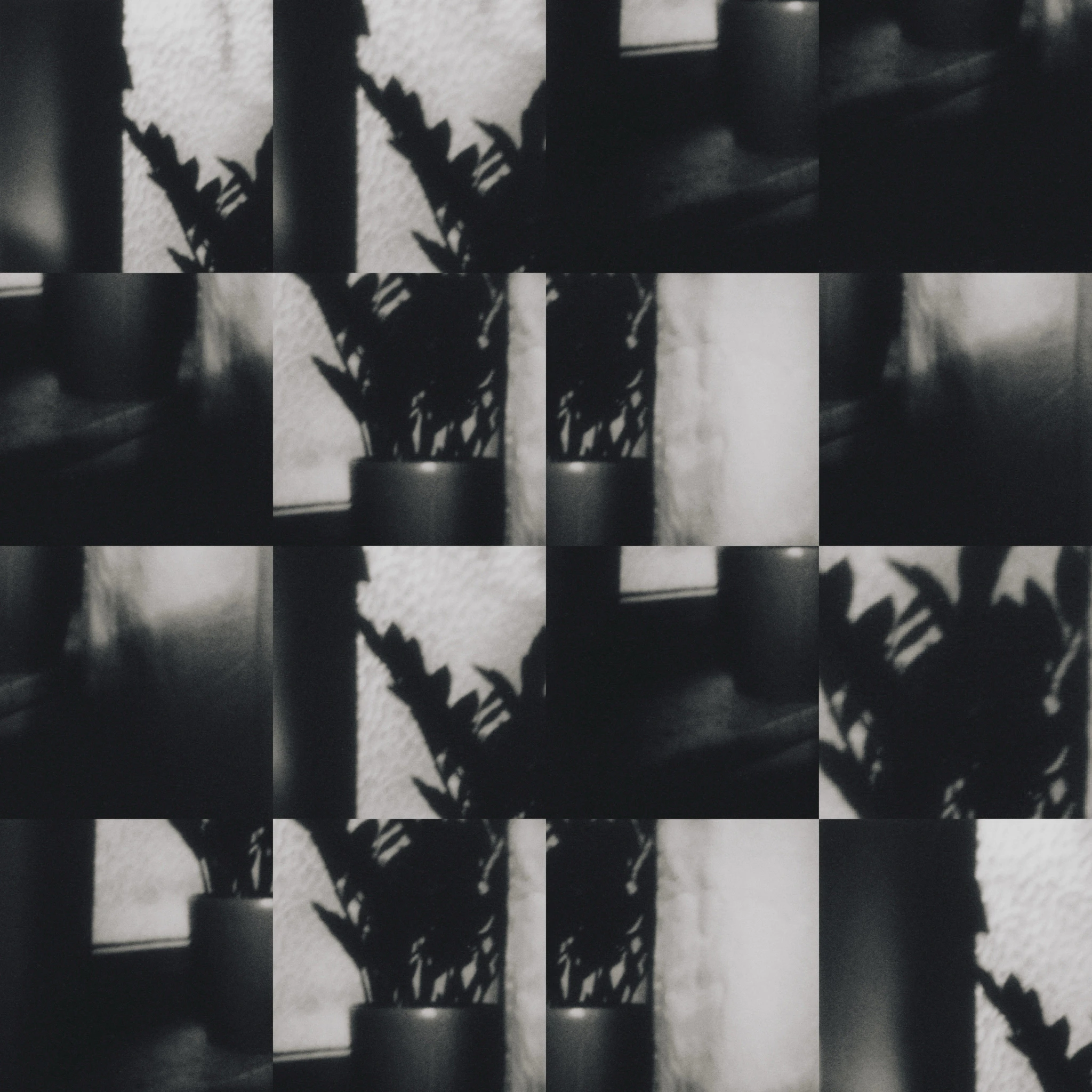 Falco Baldaya, Valerio Leg, Matias Guerra - Per Samie