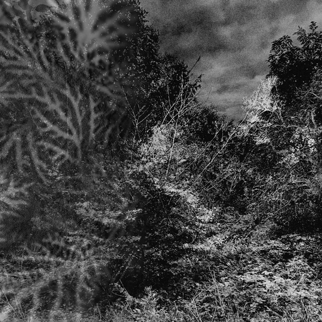 my grey leaving - sealed well