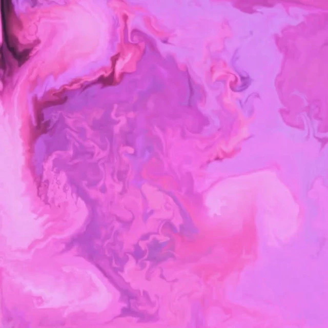 Conceive_create-Chrysanthumums