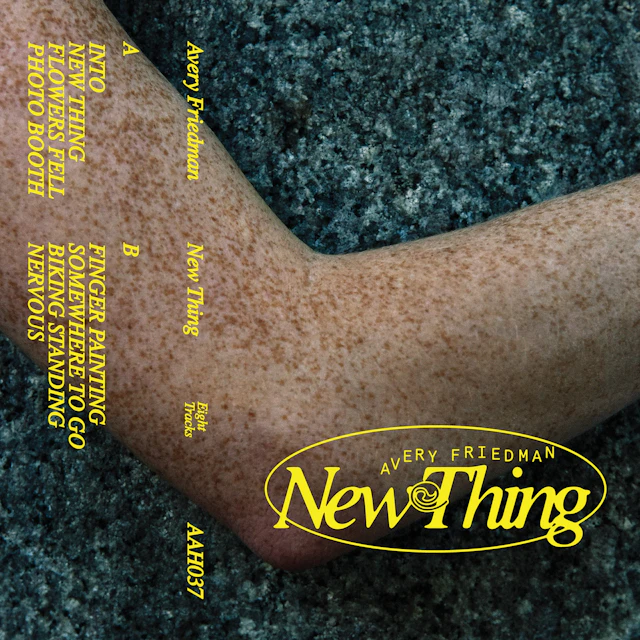 Avery Friedman - New Thing