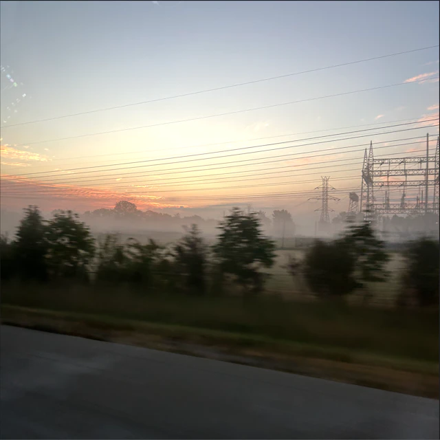 fungoustea541 - something different