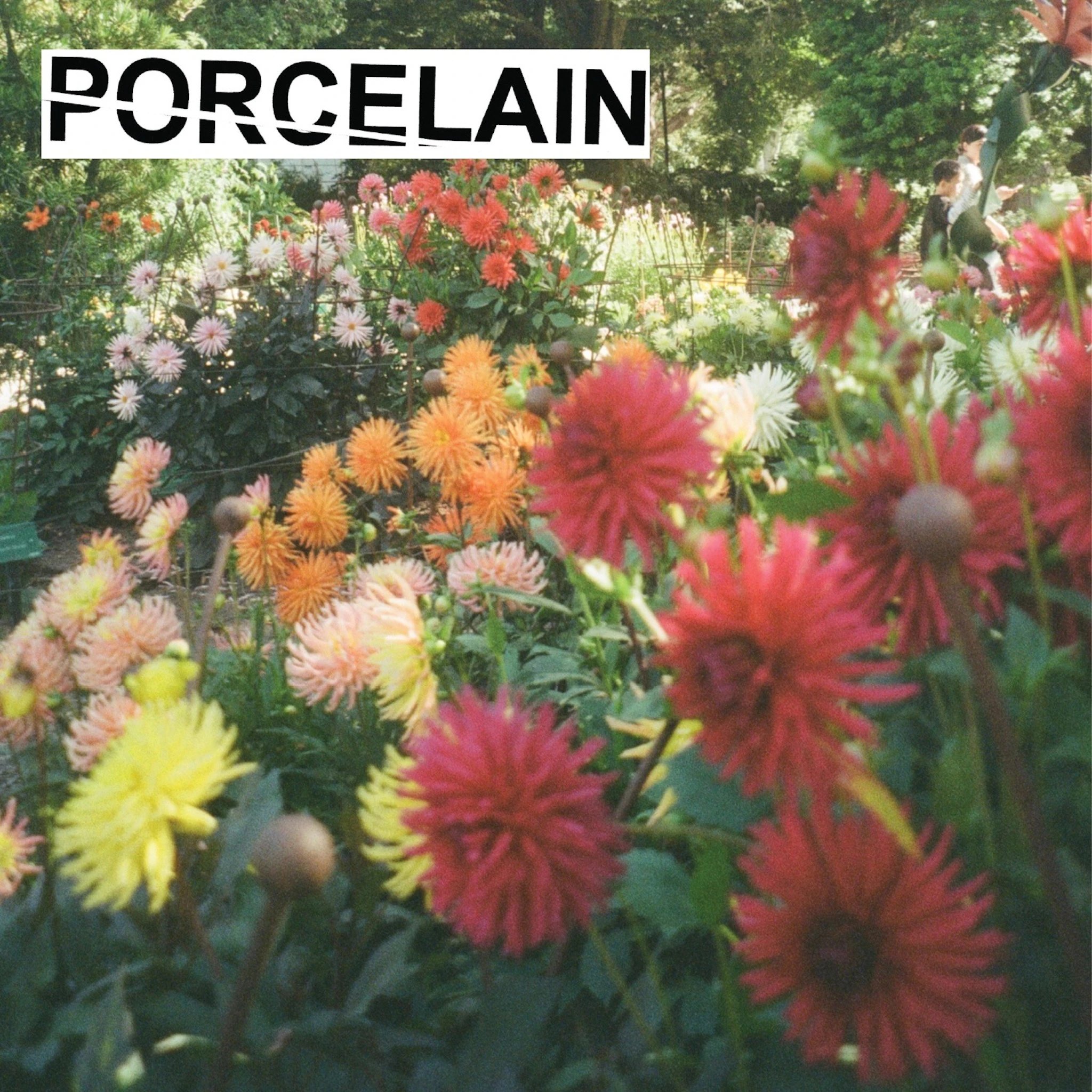 Porcelain - Torch