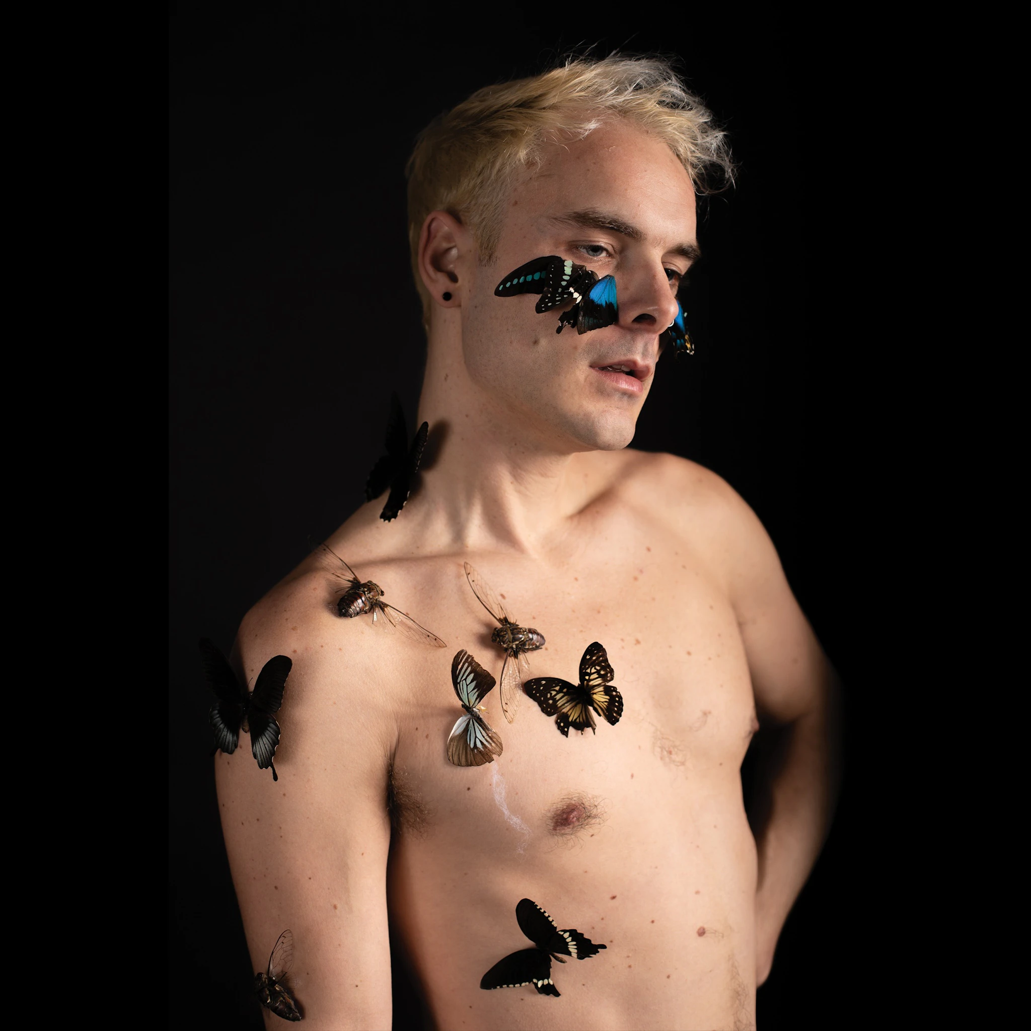 David Franklin Courtright - Brutal Tenderness