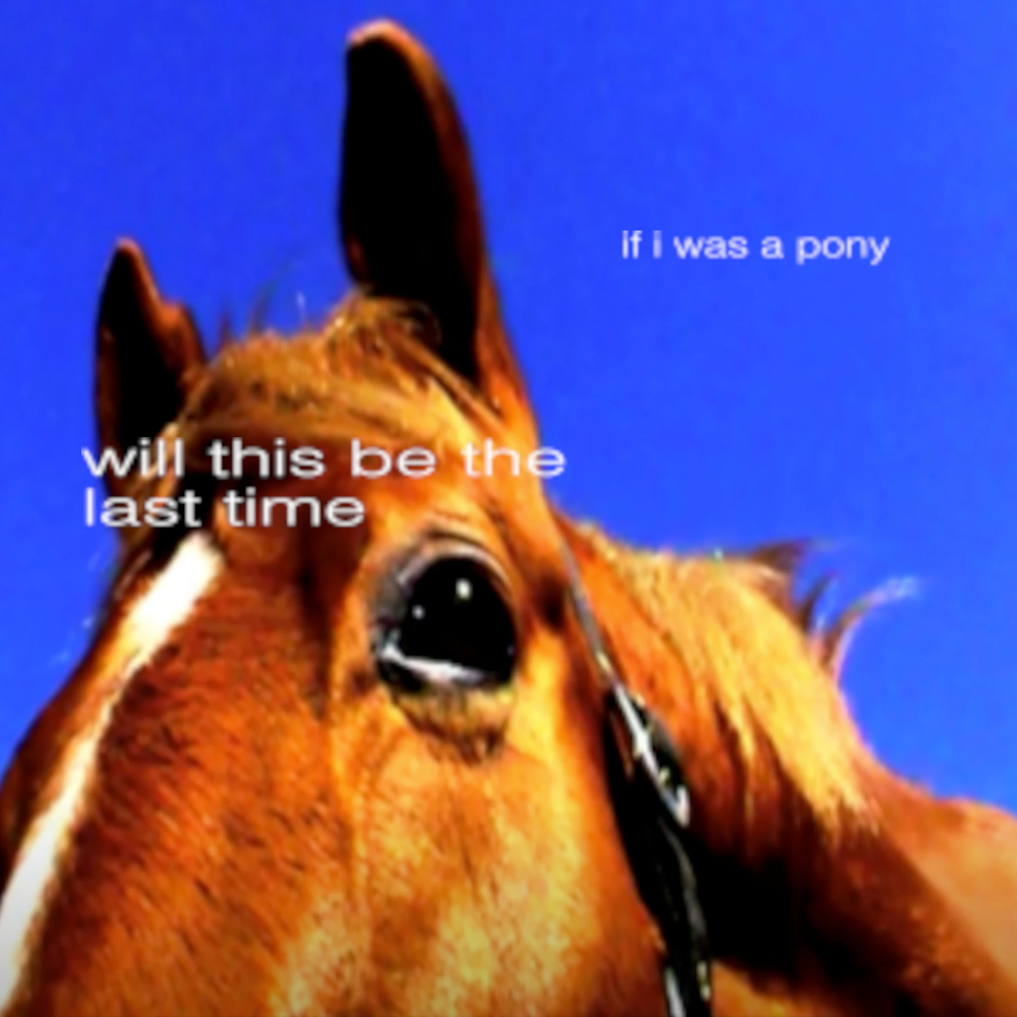 will this be the last time