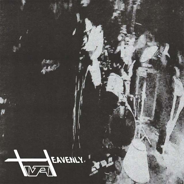 VORHEX ANGEL - Spring