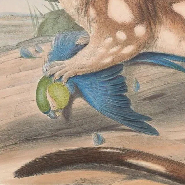 julian w - almost robbery