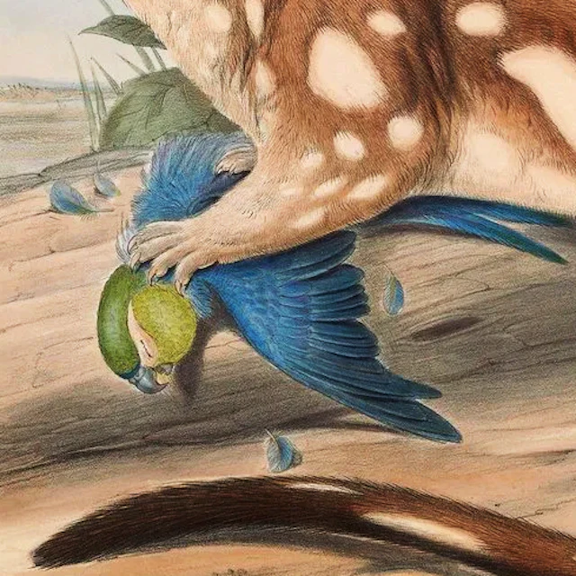 julian w - almost robbery