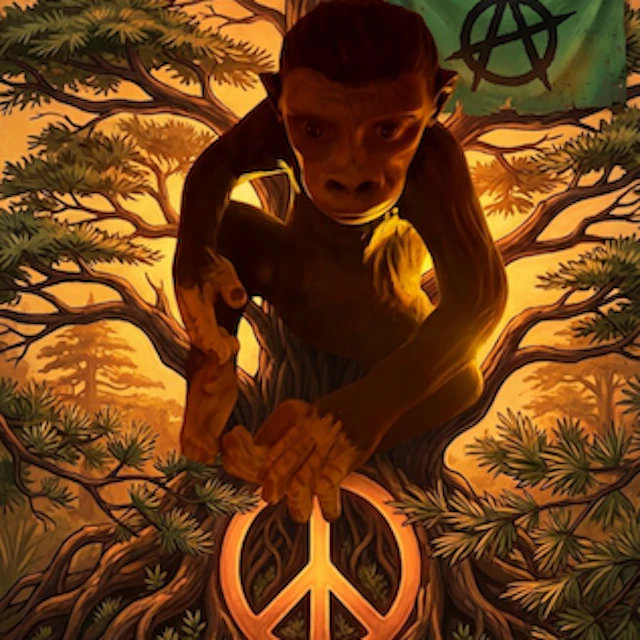 Jool-Reality Confucius